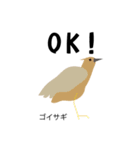 カレッジ シュールBird 1（個別スタンプ：23）