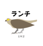 カレッジ シュールBird 1（個別スタンプ：28）