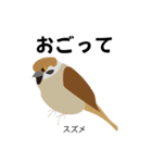 カレッジ シュールBird 1（個別スタンプ：31）