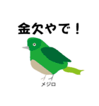 カレッジ シュールBird 1（個別スタンプ：33）
