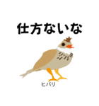 カレッジ シュールBird 1（個別スタンプ：34）