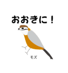 カレッジ シュールBird 1（個別スタンプ：37）