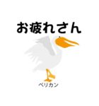 カレッジ シュールBird 1（個別スタンプ：38）