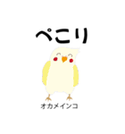 カレッジ シュールBird 1（個別スタンプ：40）