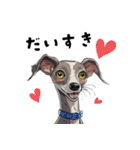 毎日使える大人可愛いイタグレ（個別スタンプ：1）