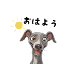 毎日使える大人可愛いイタグレ（個別スタンプ：4）