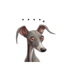 毎日使える大人可愛いイタグレ（個別スタンプ：6）