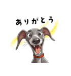 毎日使える大人可愛いイタグレ（個別スタンプ：7）