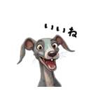 毎日使える大人可愛いイタグレ（個別スタンプ：8）