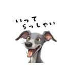 毎日使える大人可愛いイタグレ（個別スタンプ：9）