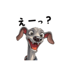 毎日使える大人可愛いイタグレ（個別スタンプ：11）