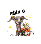 毎日使える大人可愛いイタグレ（個別スタンプ：12）