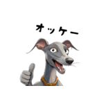 毎日使える大人可愛いイタグレ（個別スタンプ：14）