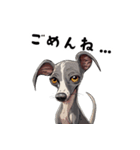 毎日使える大人可愛いイタグレ（個別スタンプ：16）