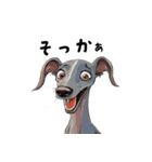 毎日使える大人可愛いイタグレ（個別スタンプ：19）