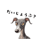 毎日使える大人可愛いイタグレ（個別スタンプ：20）