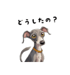 毎日使える大人可愛いイタグレ（個別スタンプ：24）