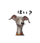 毎日使える大人可愛いイタグレ（個別スタンプ：27）