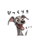 毎日使える大人可愛いイタグレ（個別スタンプ：29）