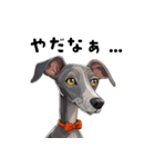 毎日使える大人可愛いイタグレ（個別スタンプ：31）