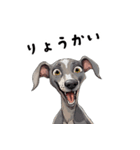 毎日使える大人可愛いイタグレ（個別スタンプ：34）