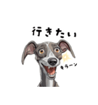 毎日使える大人可愛いイタグレ（個別スタンプ：38）