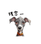 毎日使える大人可愛いイタグレ（個別スタンプ：40）