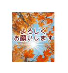 背景が動く✨コスモスと紅葉と-秋風感じる-（個別スタンプ：3）