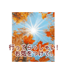 背景が動く✨コスモスと紅葉と-秋風感じる-（個別スタンプ：11）