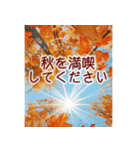 背景が動く✨コスモスと紅葉と-秋風感じる-（個別スタンプ：12）