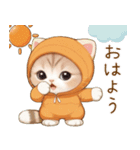 飛び出す！スコティッシュ猫 みかん服（個別スタンプ：1）