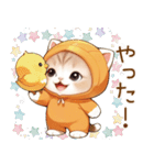 飛び出す！スコティッシュ猫 みかん服（個別スタンプ：3）