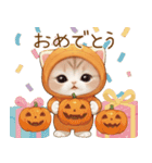 飛び出す！スコティッシュ猫 みかん服（個別スタンプ：5）