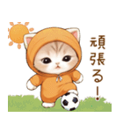 飛び出す！スコティッシュ猫 みかん服（個別スタンプ：6）