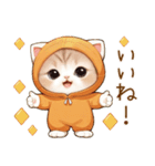 飛び出す！スコティッシュ猫 みかん服（個別スタンプ：16）
