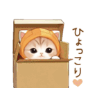 飛び出す！スコティッシュ猫 みかん服（個別スタンプ：19）