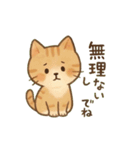 毎日つかえるひとこと（個別スタンプ：31）