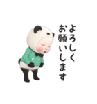 【ずっと使える】パンダタオル【日常】（個別スタンプ：19）