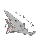 深海のなかまたち – 日常のひとこと編 –（個別スタンプ：13）