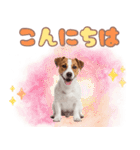 元気いっぱい♡ジャックのスタンプ（個別スタンプ：2）