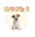 元気いっぱい♡ジャックのスタンプ（個別スタンプ：4）