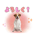 元気いっぱい♡ジャックのスタンプ（個別スタンプ：5）