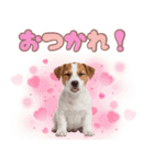元気いっぱい♡ジャックのスタンプ（個別スタンプ：6）