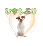 元気いっぱい♡ジャックのスタンプ（個別スタンプ：7）