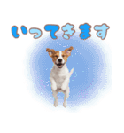 元気いっぱい♡ジャックのスタンプ（個別スタンプ：8）