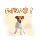 元気いっぱい♡ジャックのスタンプ（個別スタンプ：9）