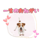 元気いっぱい♡ジャックのスタンプ（個別スタンプ：10）