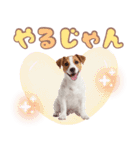 元気いっぱい♡ジャックのスタンプ（個別スタンプ：11）