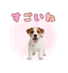 元気いっぱい♡ジャックのスタンプ（個別スタンプ：16）