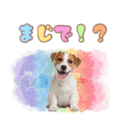 元気いっぱい♡ジャックのスタンプ（個別スタンプ：17）